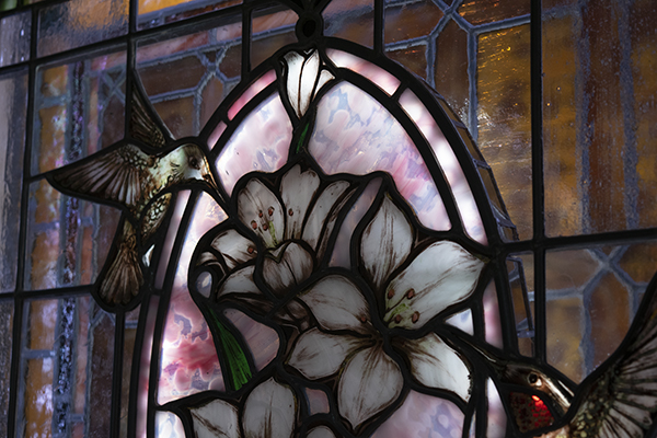 Hummingbird LED window